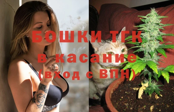 PSILOCYBIN Горнозаводск