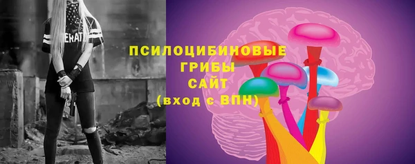 PSILOCYBIN Горнозаводск