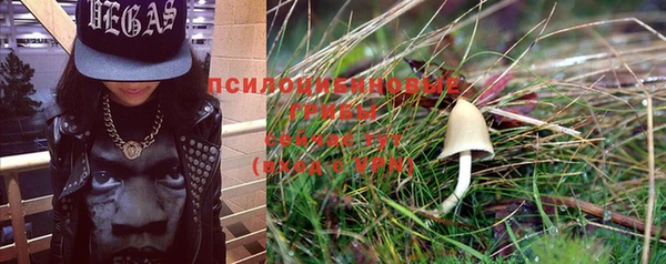 PSILOCYBIN Горнозаводск
