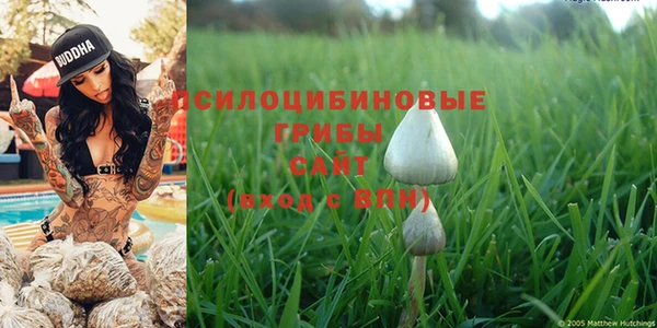 PSILOCYBIN Горнозаводск