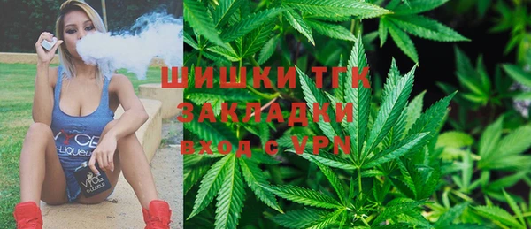 PSILOCYBIN Горнозаводск