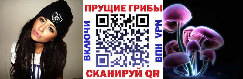 Галлюциногенные грибы прущие грибы  Купить закладки  Новодвинск 